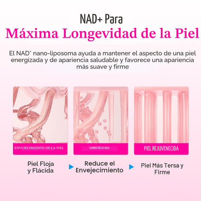 EQQUALBERRY NAD+ Crema potenciadora de péptidos \u2013 NAD+ 5% y 13...