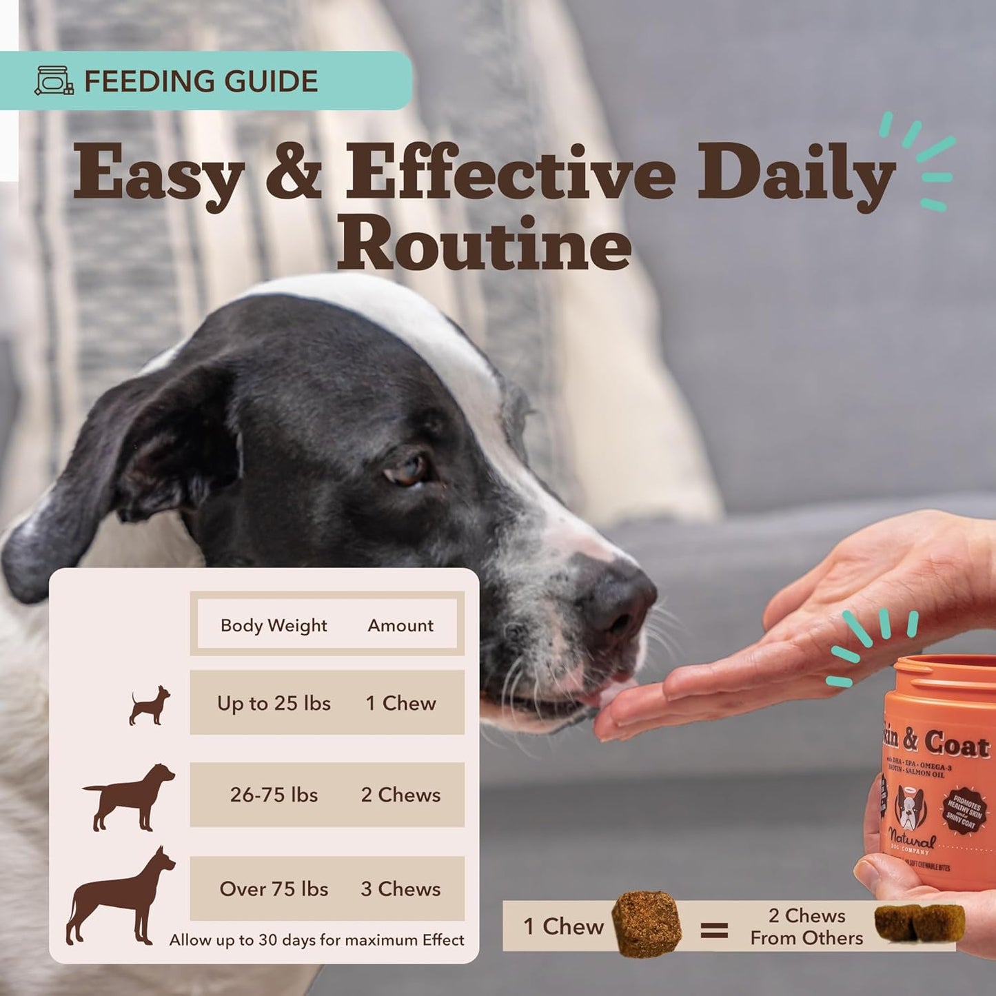 Natural Dog Company Masticables para la piel y el pelaje, sabor a s...