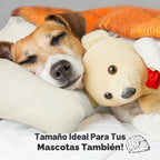 KeaBabies Paquete de 2 almohadas para niños de 2 años a 5,13 x 18 p...