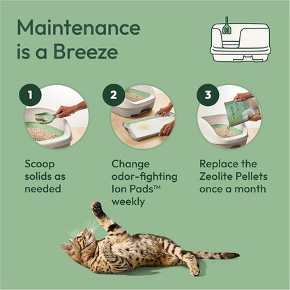 Purina Tidy Cats Breeze - Paquete de recambio para gatos con sistem...