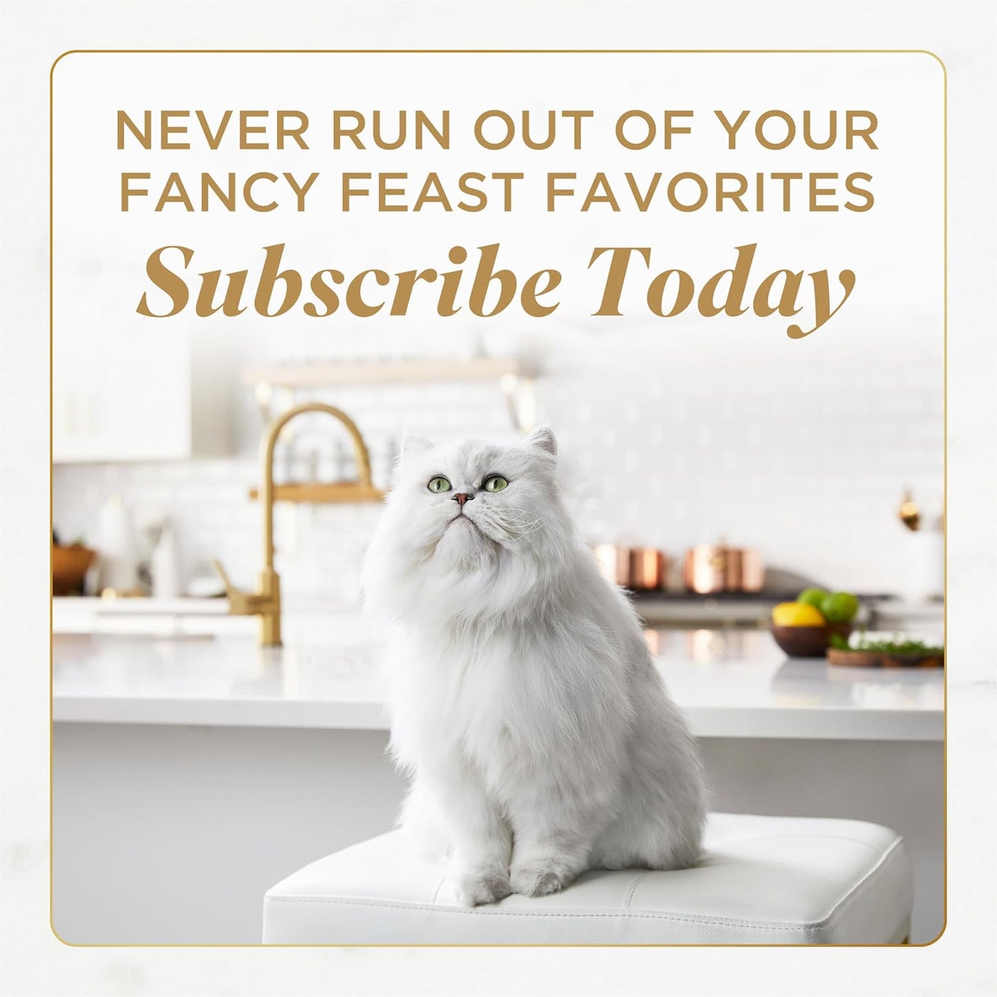 Fancy Feast Purina Savory Centers - Paquete variado de paté de comi...
