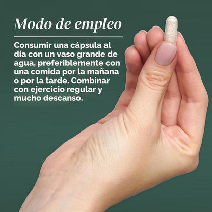 Primal Harvest Primal Multivitamin - Suplemento diario multivitamín...