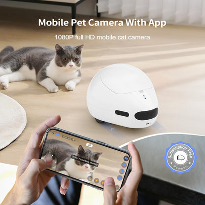 pumpkii Cámara para gatos con juguete puntero interactivo, robot mó...