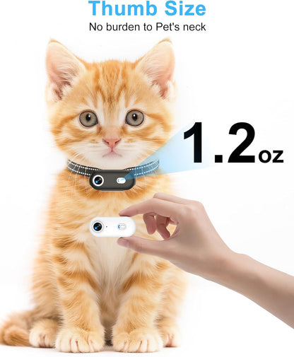 Collar con cámara para gatos con aplicación para teléfono, grabació...