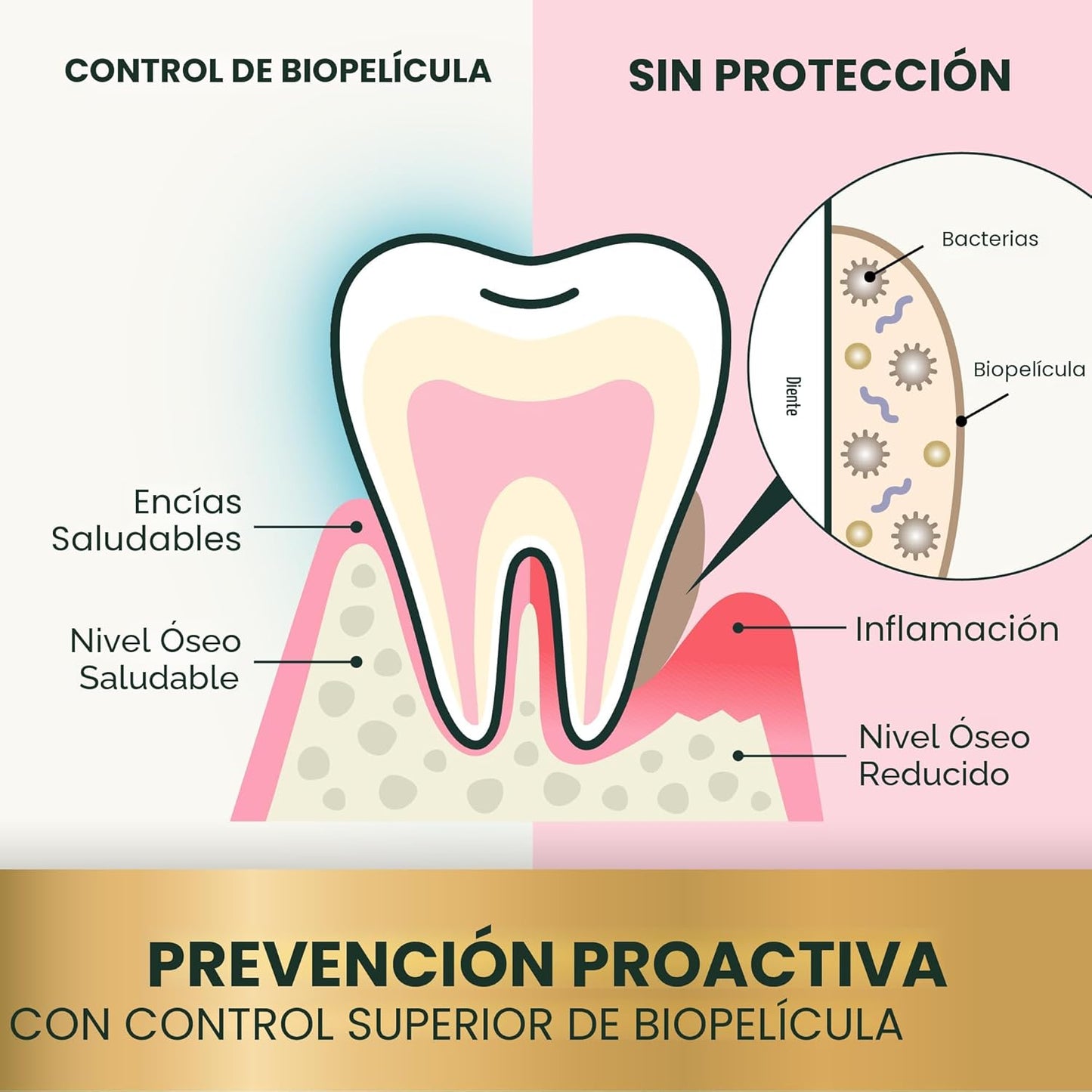 VetriScience Polvo de cuidado dental para perros y gatos: ayuda a r...