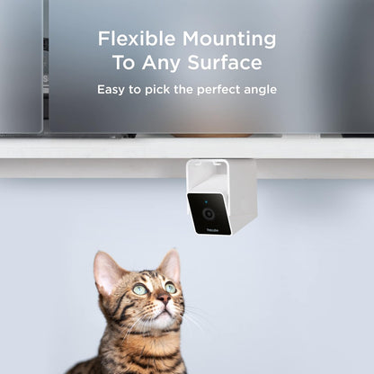 Petcube Cam | Cámara Wi-Fi interior para mascotas y de seguridad co...