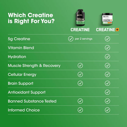 Optimum Nutrition Cápsulas de monohidrato de creatina micronizada,...