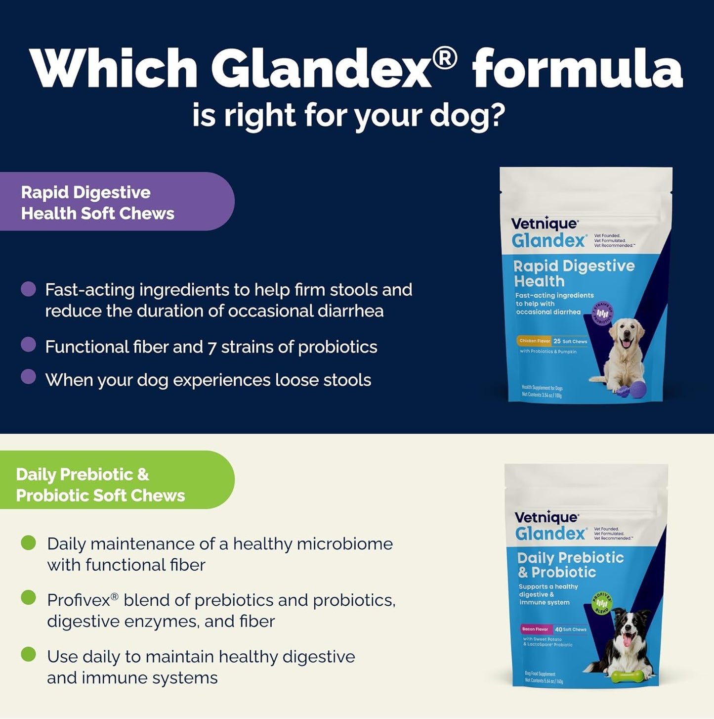 Vetnique Glandex - Probióticos diarios para perros con prebióticos...