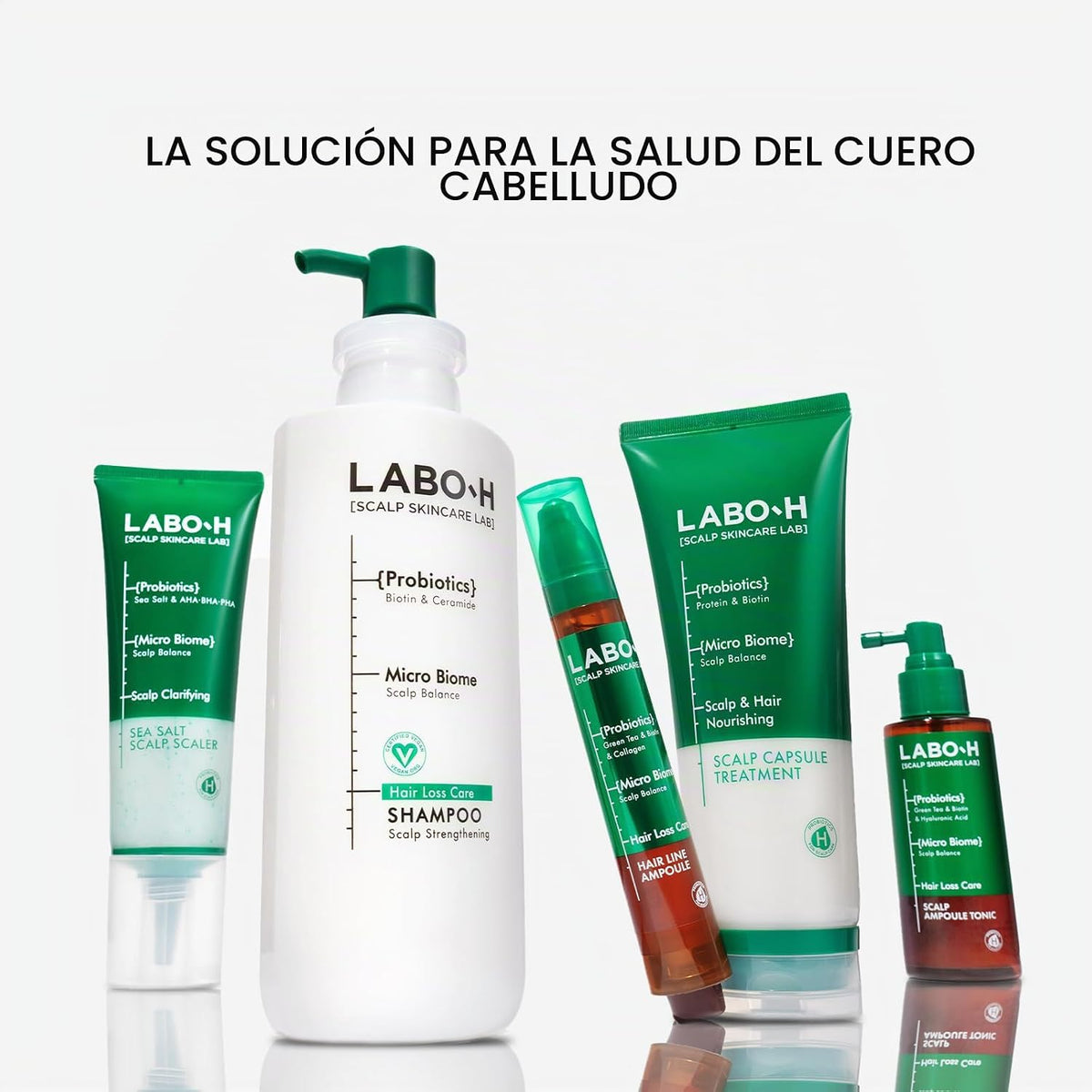 LABO.H Exfoliante para fortalecer el cuero cabelludo, champú calrif...