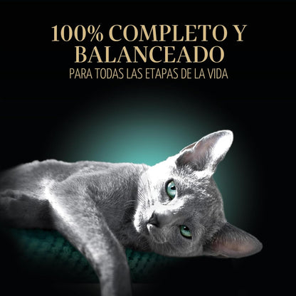 SHEBA - Bandejas de porciones perfectas de comida húmeda para gatos...