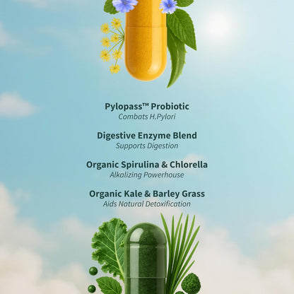 Snap Supplements Salud intestinal y espirulina orgánica Chlorella B...