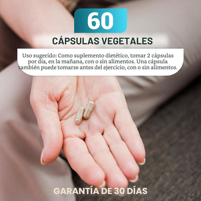 Dr. Berg Multivitamínico integral con minerales - Multivitamínico d...
