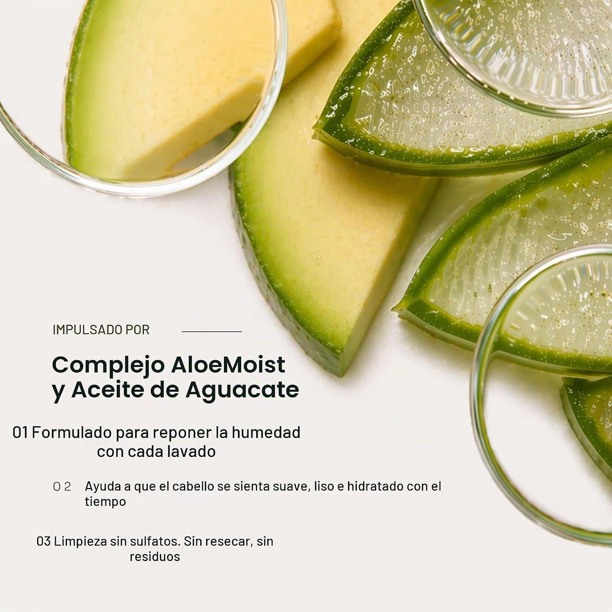 Loma Hair Care Dúo de champú y tratamiento hidratante