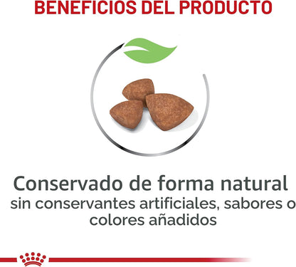 De Royal Canin, Size Health Nutrition, comida seca para cachorros e...