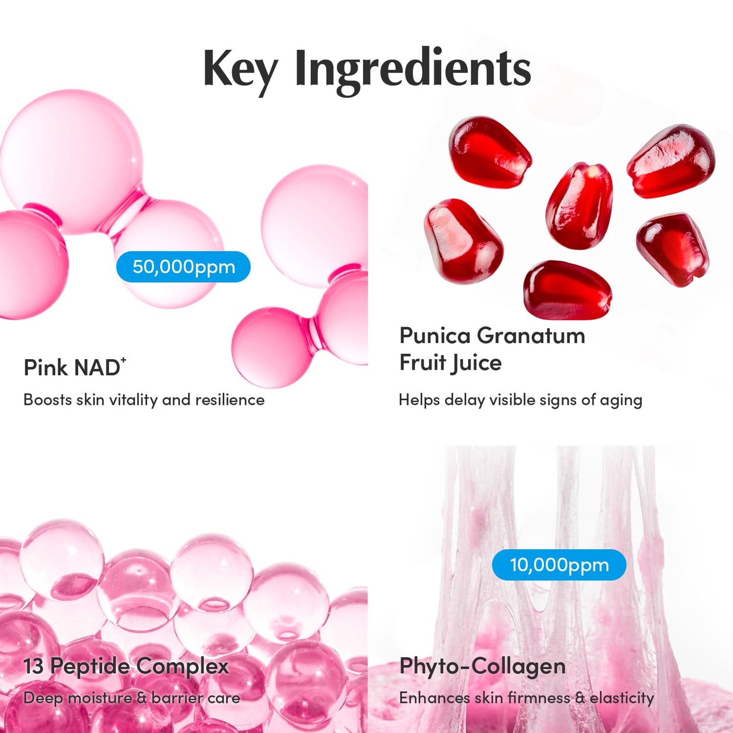 EQQUALBERRY NAD+ Crema potenciadora de péptidos \u2013 NAD+ 5% y 13...