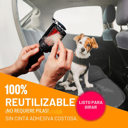 ChomChom Roller para pelo de mascotas \u2013 Herramienta reutilizab...