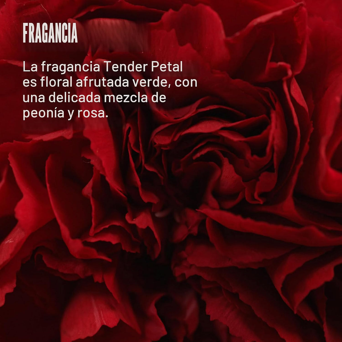 Wella Professionals Tratamiento protector sin enjuague 5 en 1 ULTIM...