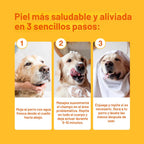 Douxo S3 PYO Champú de clorhexidina para perros, champú medicado an...