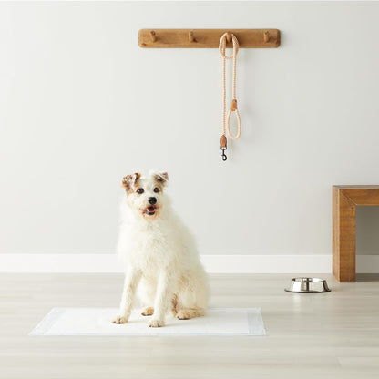 Amazon Basics Almohadillas para orinar para perros y cachorros con...