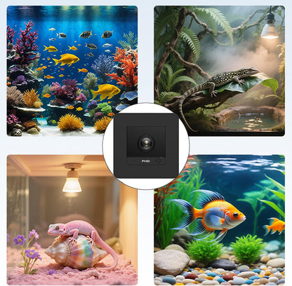 Cámara para pecera, 2K HD para acuario y terrario de reptiles, gran...