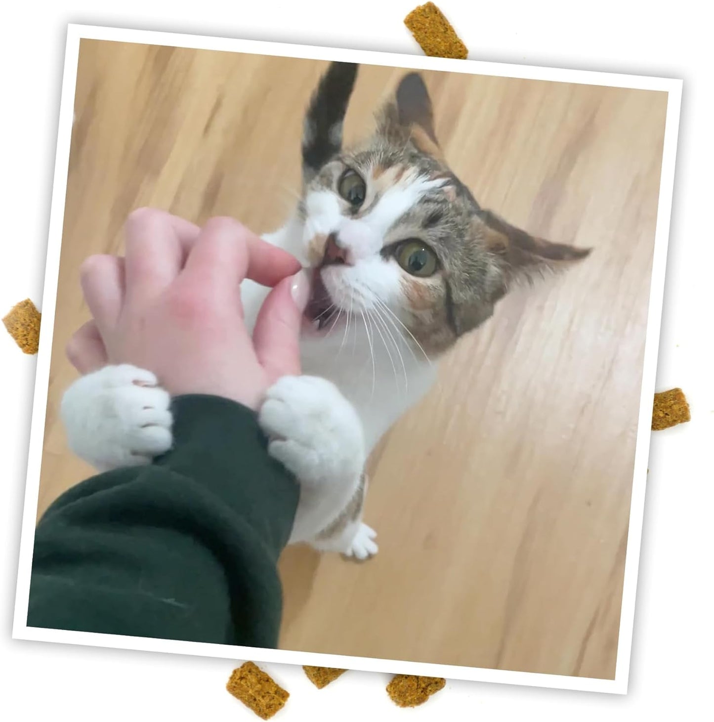 Meowijuana Crunchie Munchie Catnip Treats | Trío de salmón | Fabric...