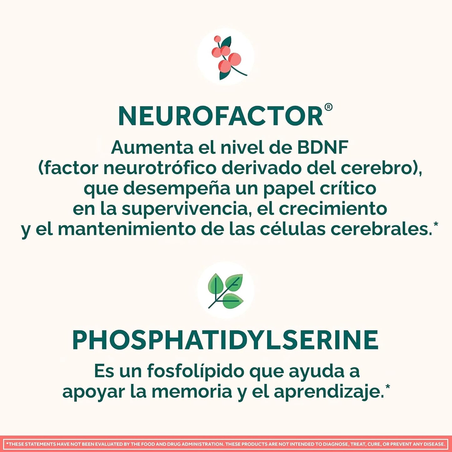 NEURIVA Suplemento cerebral nootrópico descafeinado original probad...