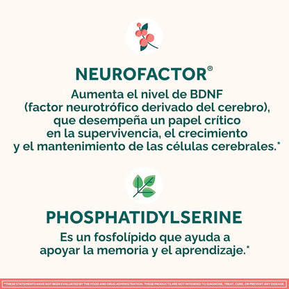 NEURIVA Suplemento cerebral nootrópico descafeinado original probad...