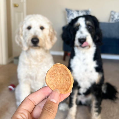 Farm To Pet - Golosinas de entrenamiento para perros - Chips de pol...