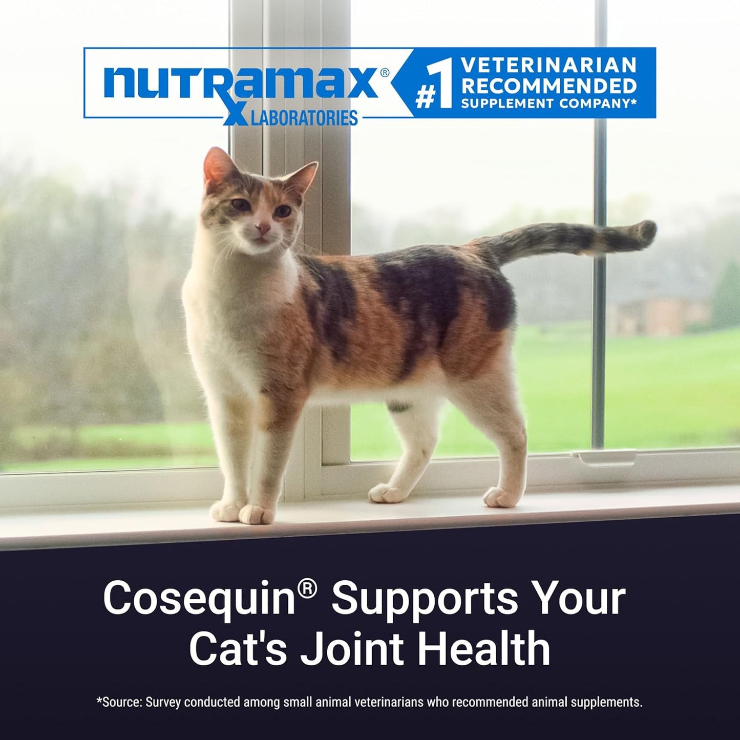 Nutramax Cosequin Sprinkle Cápsulas para gatos