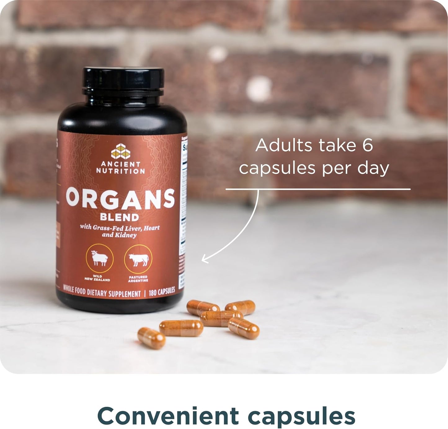 Ancient Nutrition Suplementos de órganos, cápsulas de complejo de ó...