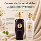 Daeng Gi Meo Ri Ki Gold Premium Champú + Set de Tratamiento, 16.9 f...