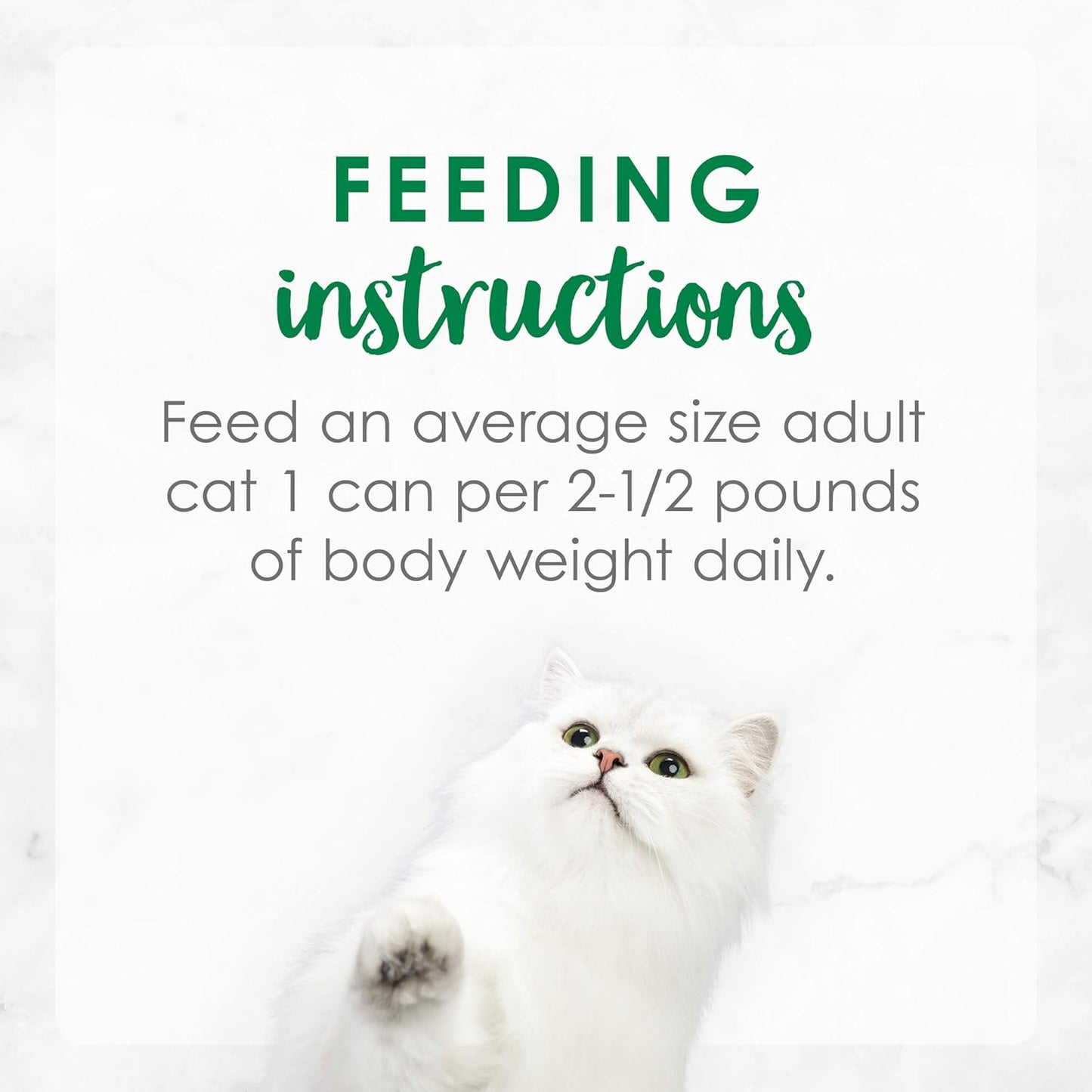 Purina Fancy Feast Medleys Taste of Italy - Paquete surtido de alim...