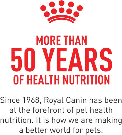 Royal Canin Feline Health Nutrition Interior Adulto Alimento Seco p...
