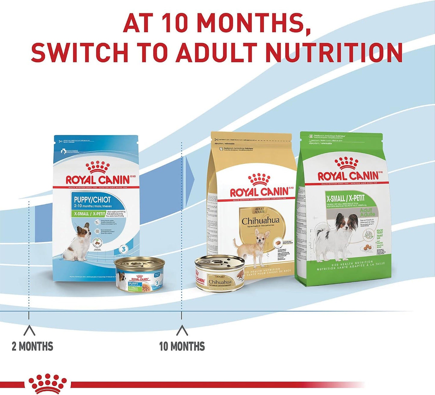 De Royal Canin, Size Health Nutrition, comida seca para cachorros e...