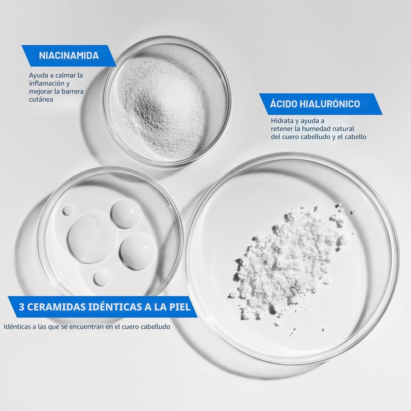 CeraVe Champú Hidratante Suave, Con Ceramidas, Niacinamida y Ácido...