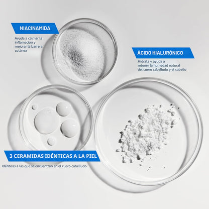CeraVe Champú Hidratante Suave, Con Ceramidas, Niacinamida y Ácido...
