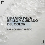Redken Champú Acidic Color Gloss sin sulfatos para protección del c...
