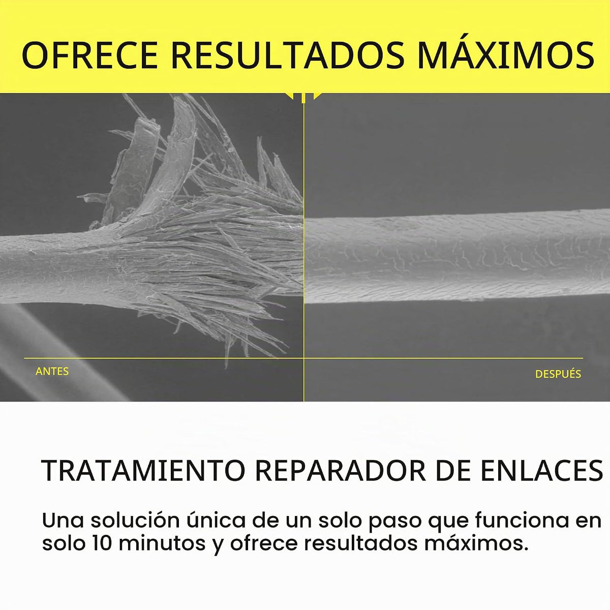 epres Sistema de cuidado del cabello Bond Repair para un cabello má...