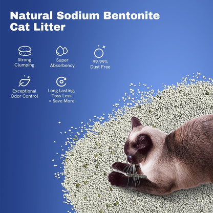 LALAHOME Arena aglutinante para gatos, arena para gatos de bentonit...