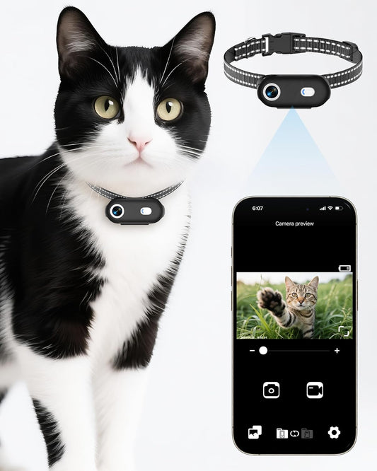 Collar con cámara para gatos con aplicación para teléfono, grabació...