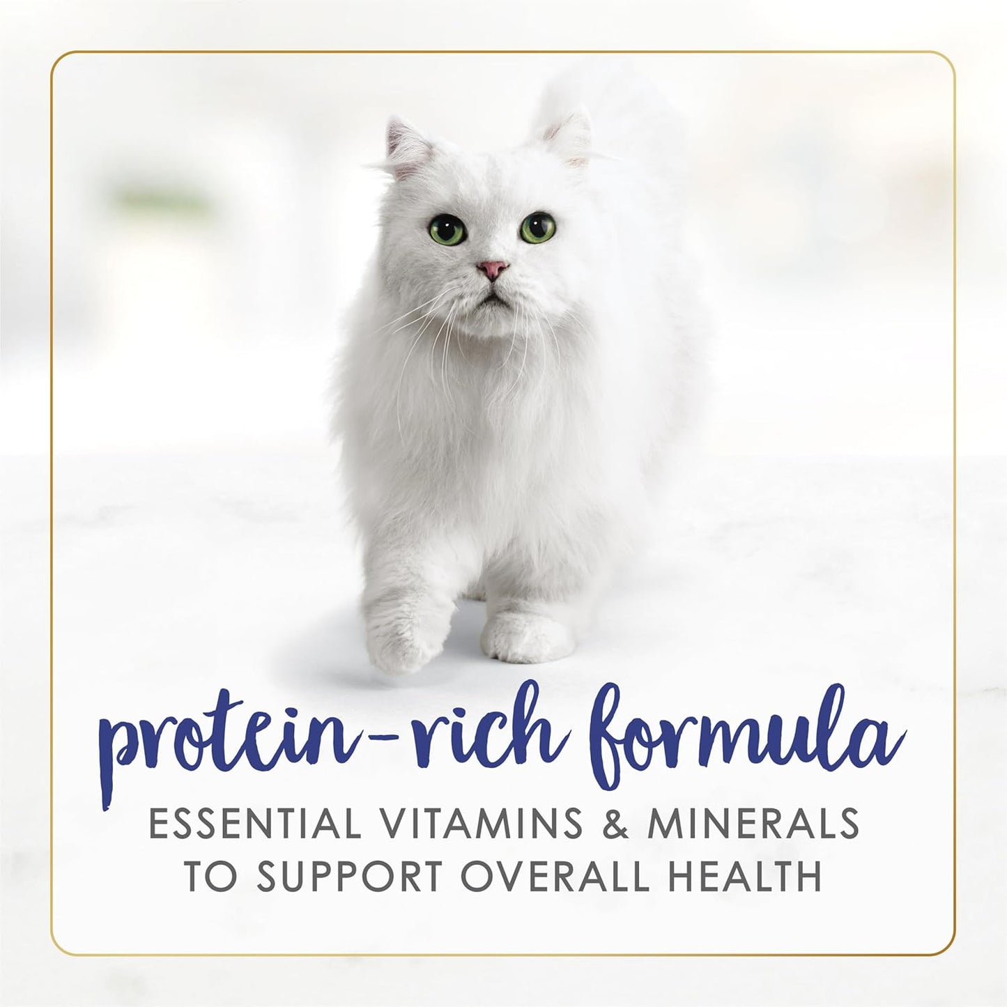 Comida húmeda para gatos Purina Fancy Feast con pescado y camarones...