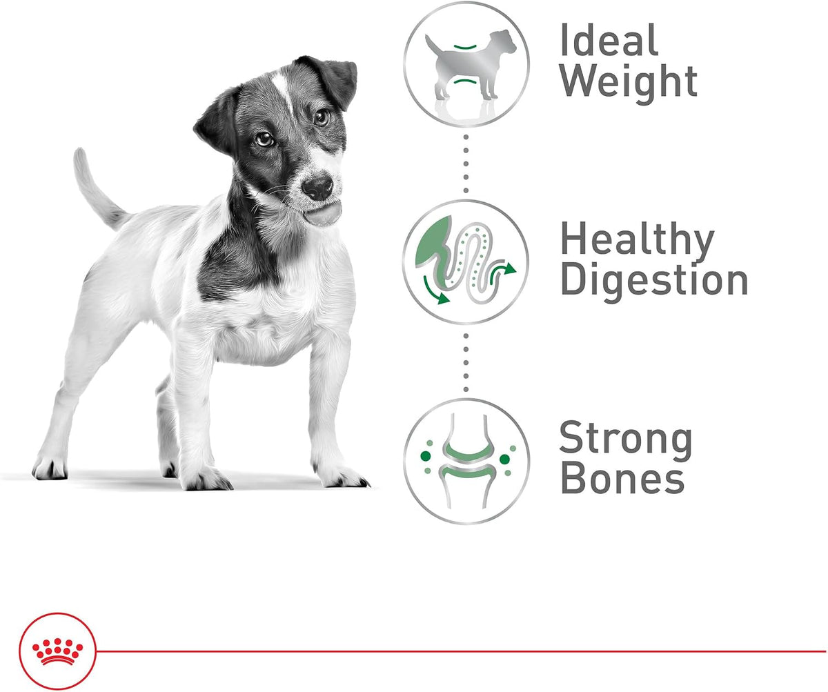 Royal Canin Size Health Nutrition - Alimento seco para perros de ra...