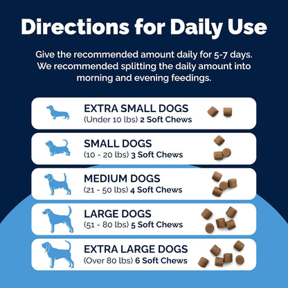 Vetnique Glandex - Probióticos diarios para perros con prebióticos...