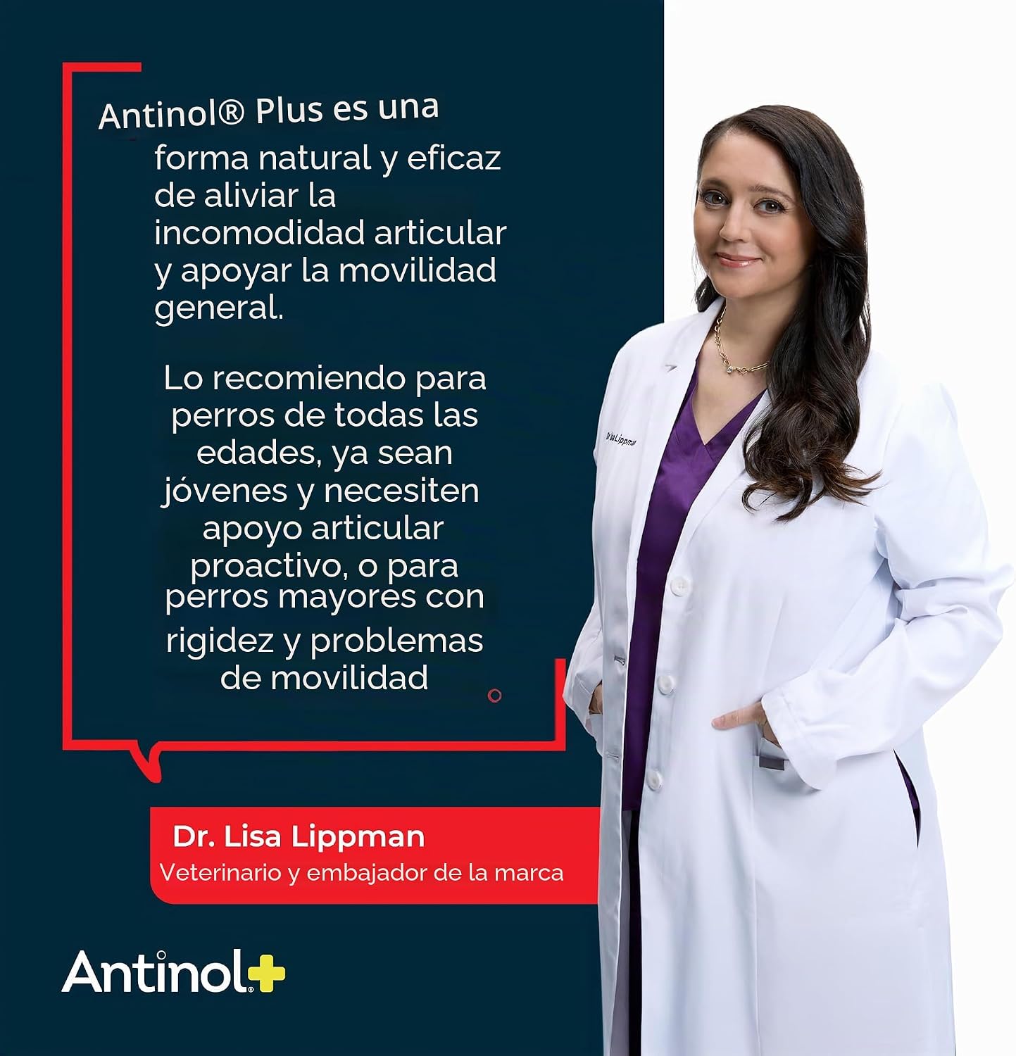 Antinol Plus Mobility - Suplemento para cadera y articulaciones par...
