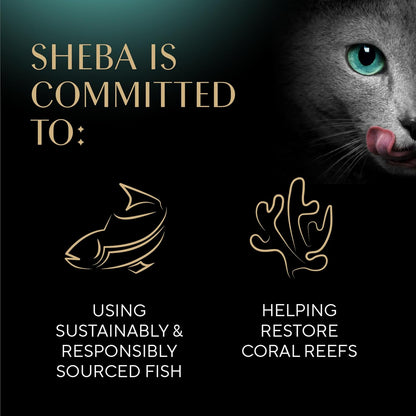 SHEBA - Bandejas de porciones perfectas de comida húmeda para gatos...