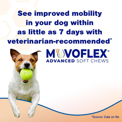 MOVOFLEX Virbac - Suplemento avanzado de apoyo para cadera y articu...