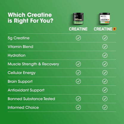 Optimum Nutrition Cápsulas micronizadas de monohidrato de creatina