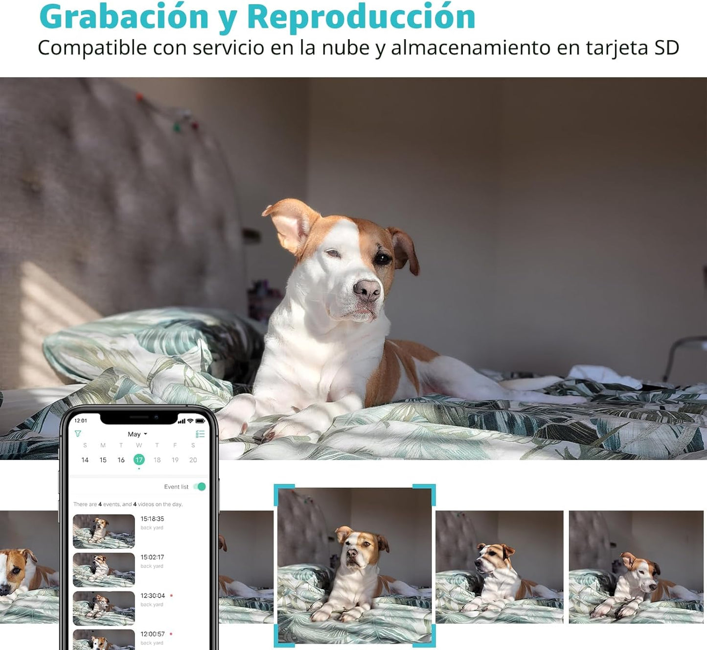 Cámara para mascotas, cámara para perros HD 2K con aplicación para...