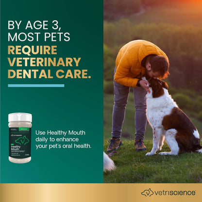 VetriScience Polvo dental para perros de boca saludable, paquete de...