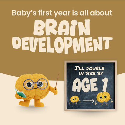 Enfamil NeuroPro - Fórmula para bebés, MFGM* Beneficio de 5 años, O...